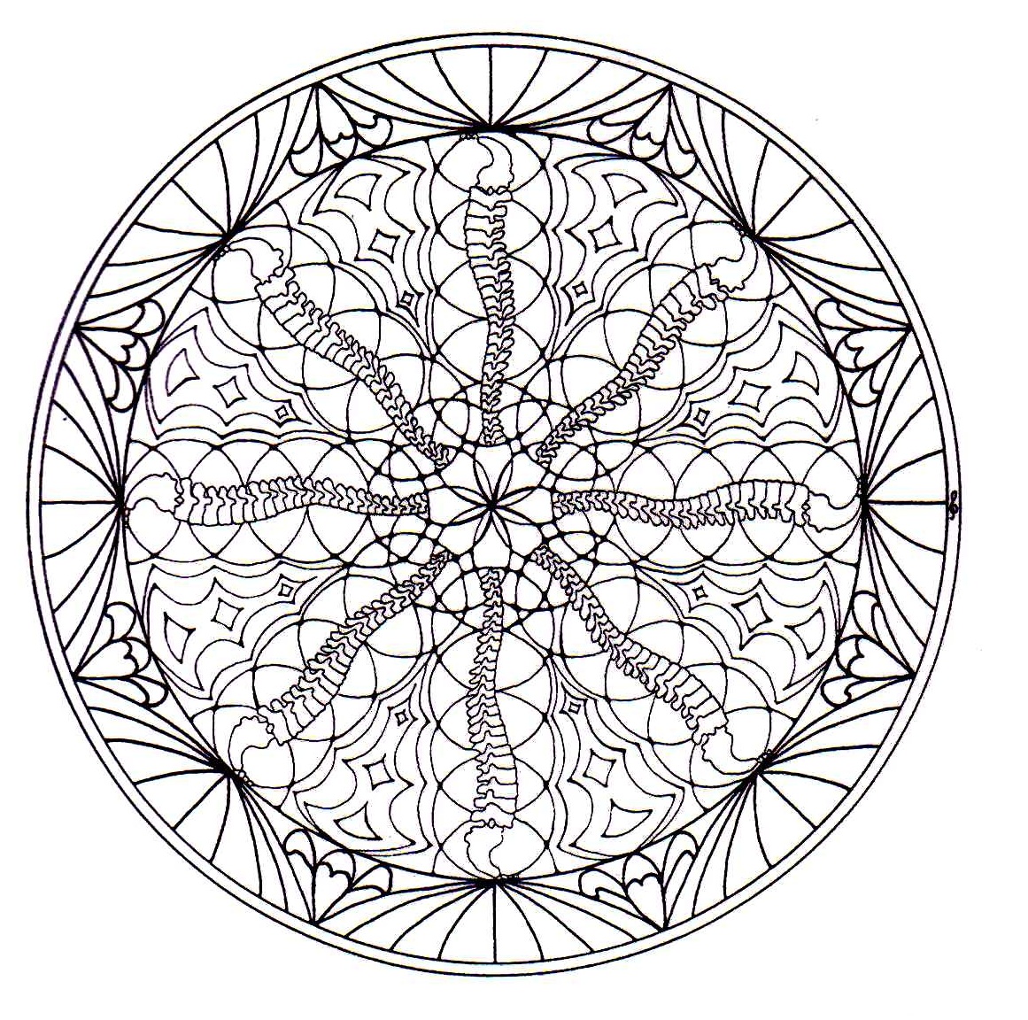 Magnificient natural Mandala drawing. Mandalas offer balancing visual elements, symbolizing unity and harmony.